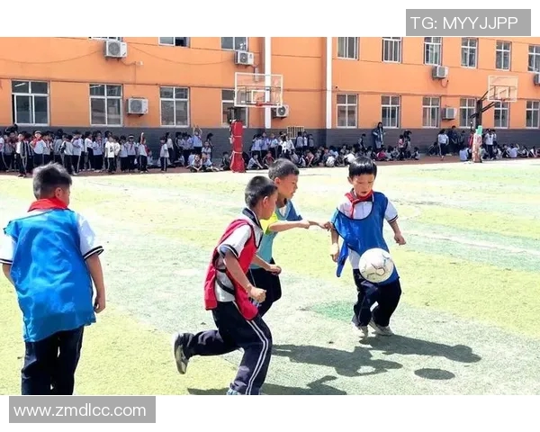 追逐梦想的少年足球梦从校园到绿茵场的奋斗历程